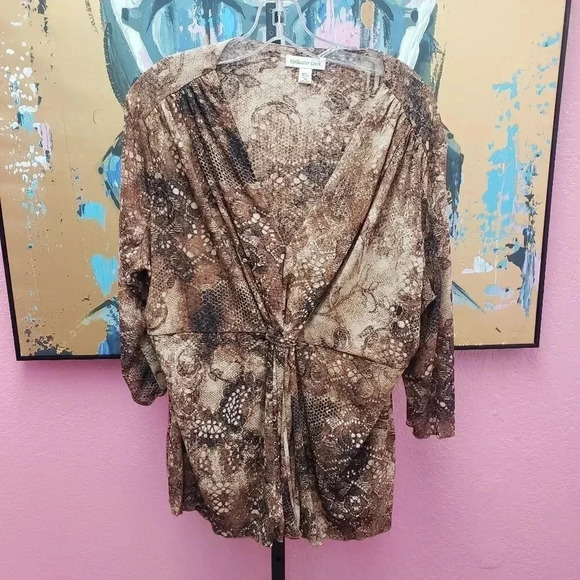 Coldwater Creek Brown Blouse - Picture 1 of 5